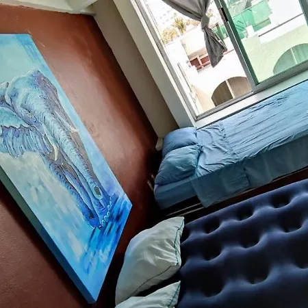 Iow4 Hn Senior Suite